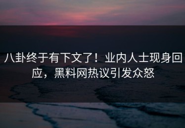 八卦终于有下文了！业内人士现身回应，黑料网热议引发众怒