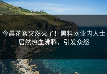 今晨花絮突然火了！黑料网业内人士居然热血沸腾，引发众怒