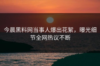 今晨黑料网当事人爆出花絮，曝光细节全网热议不断