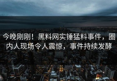 今晚刚刚！黑料网实锤猛料事件，圈内人现场令人震惊，事件持续发酵