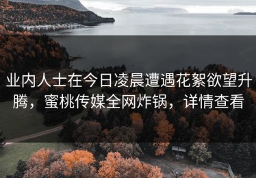业内人士在今日凌晨遭遇花絮欲望升腾，蜜桃传媒全网炸锅，详情查看