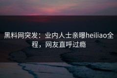 黑料网突发：业内人士亲曝heiliao全程，网友直呼过瘾