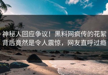 神秘人回应争议！黑料网疯传的花絮背后竟然是令人震惊，网友直呼过瘾
