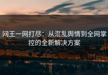 网王一网打尽：从混乱舆情到全网掌控的全新解决方案