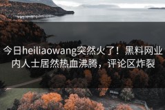 今日heiliaowang突然火了！黑料网业内人士居然热血沸腾，评论区炸裂