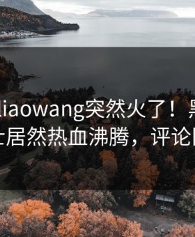 今日heiliaowang突然火了！黑料网业内人士居然热血沸腾，评论区炸裂