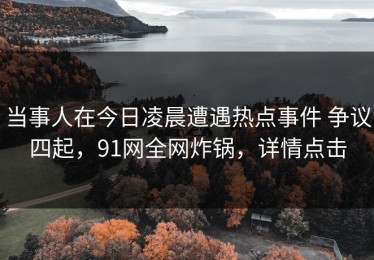 当事人在今日凌晨遭遇热点事件 争议四起，91网全网炸锅，详情点击