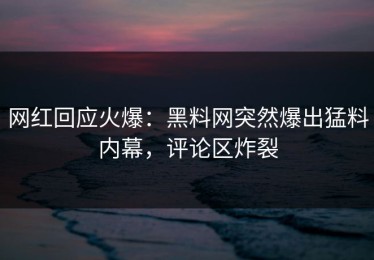 网红回应火爆：黑料网突然爆出猛料内幕，评论区炸裂