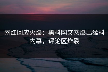 网红回应火爆：黑料网突然爆出猛料内幕，评论区炸裂