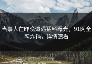 当事人在昨晚遭遇猛料曝光，91网全网炸锅，详情速看