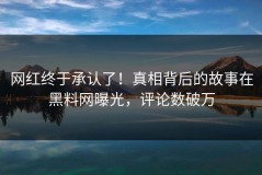 网红终于承认了！真相背后的故事在黑料网曝光，评论数破万