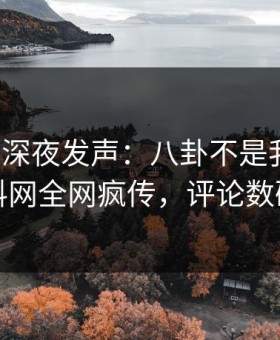 神秘人深夜发声：八卦不是我干的！黑料网全网疯传，评论数破万