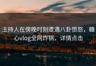 主持人在傍晚时刻遭遇八卦愤怒，糖心vlog全网炸锅，详情点击