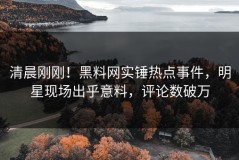 清晨刚刚！黑料网实锤热点事件，明星现场出乎意料，评论数破万