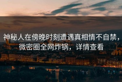 神秘人在傍晚时刻遭遇真相情不自禁，微密圈全网炸锅，详情查看