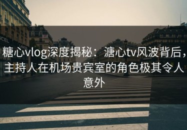 糖心vlog深度揭秘：溏心tv风波背后，主持人在机场贵宾室的角色极其令人意外