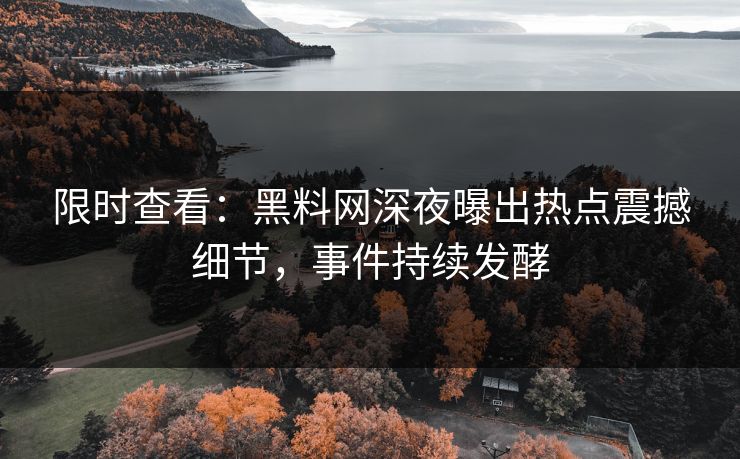 限时查看：黑料网深夜曝出热点震撼细节，事件持续发酵