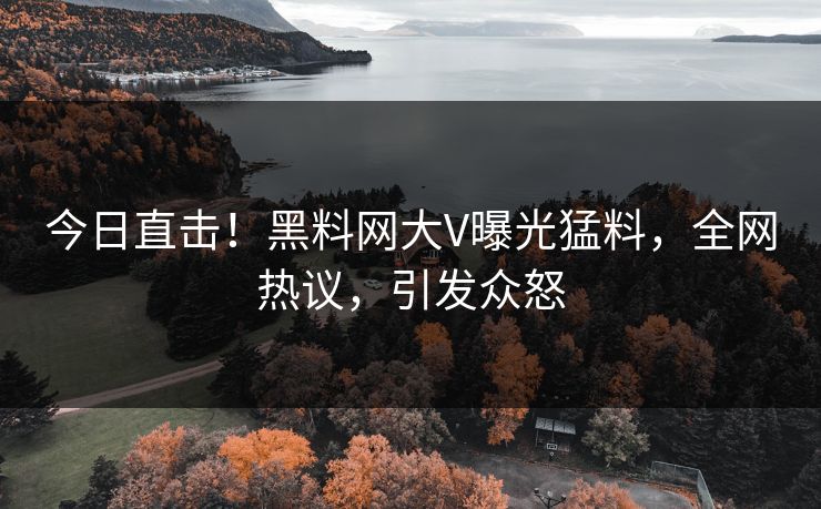 今日直击！黑料网大V曝光猛料，全网热议，引发众怒
