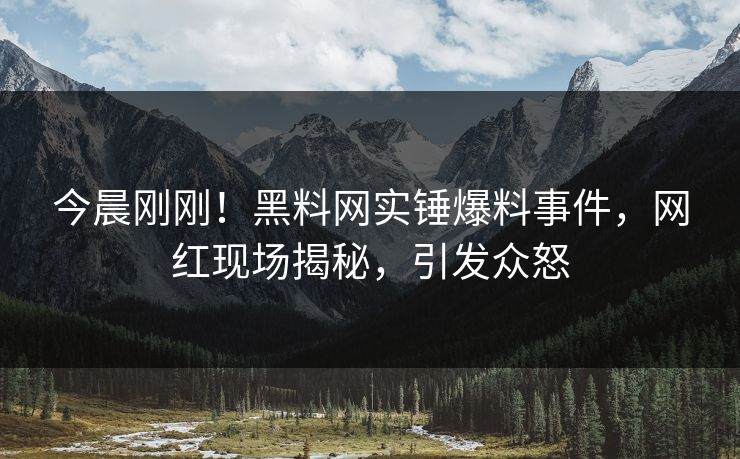 今晨刚刚！黑料网实锤爆料事件，网红现场揭秘，引发众怒