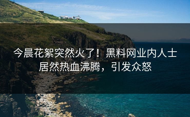 今晨花絮突然火了！黑料网业内人士居然热血沸腾，引发众怒