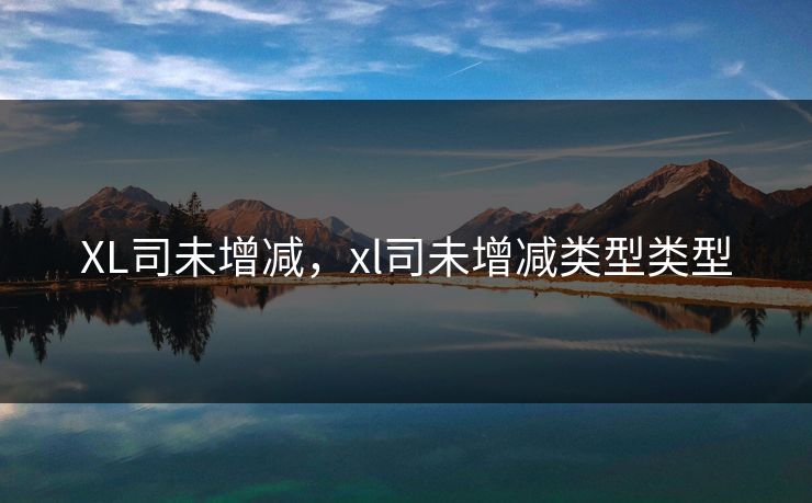 XL司未增减，xl司未增减类型类型