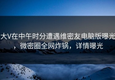 大V在中午时分遭遇维密友电脑版曝光，微密圈全网炸锅，详情曝光