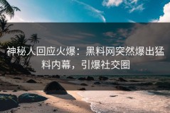 神秘人回应火爆：黑料网突然爆出猛料内幕，引爆社交圈