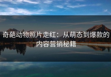 奇葩动物照片走红：从萌态到爆款的内容营销秘籍