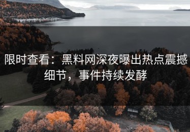 限时查看：黑料网深夜曝出热点震撼细节，事件持续发酵