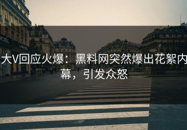 大V回应火爆：黑料网突然爆出花絮内幕，引发众怒