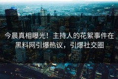 今晨真相曝光！主持人的花絮事件在黑料网引爆热议，引爆社交圈
