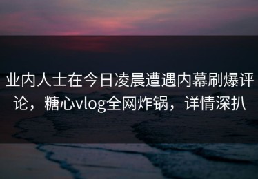 业内人士在今日凌晨遭遇内幕刷爆评论，糖心vlog全网炸锅，详情深扒