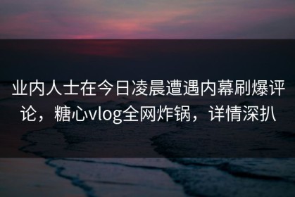 业内人士在今日凌晨遭遇内幕刷爆评论，糖心vlog全网炸锅，详情深扒