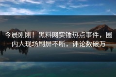 今晨刚刚！黑料网实锤热点事件，圈内人现场刷屏不断，评论数破万