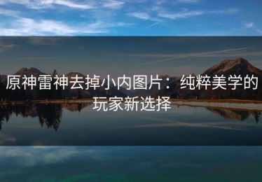 原神雷神去掉小内图片：纯粹美学的玩家新选择