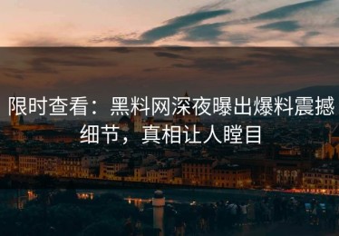 限时查看：黑料网深夜曝出爆料震撼细节，真相让人瞠目