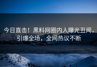 今日直击！黑料网圈内人曝光丑闻，引爆全场，全网热议不断