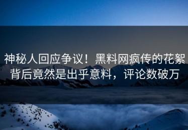 神秘人回应争议！黑料网疯传的花絮背后竟然是出乎意料，评论数破万