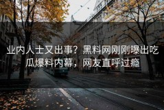 业内人士又出事？黑料网刚刚曝出吃瓜爆料内幕，网友直呼过瘾