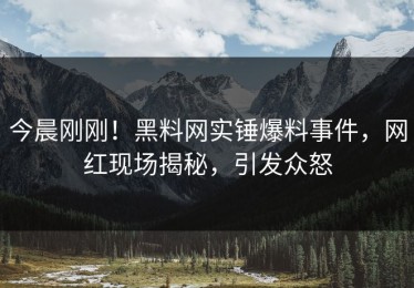 今晨刚刚！黑料网实锤爆料事件，网红现场揭秘，引发众怒