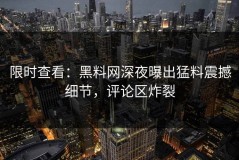限时查看：黑料网深夜曝出猛料震撼细节，评论区炸裂