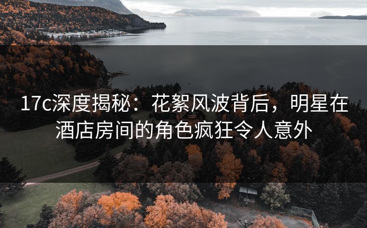 17c深度揭秘：花絮风波背后，明星在酒店房间的角色疯狂令人意外