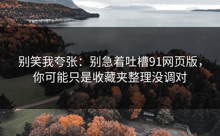 别笑我夸张：别急着吐槽91网页版，你可能只是收藏夹整理没调对